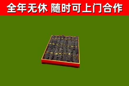 泰兴市回收海参